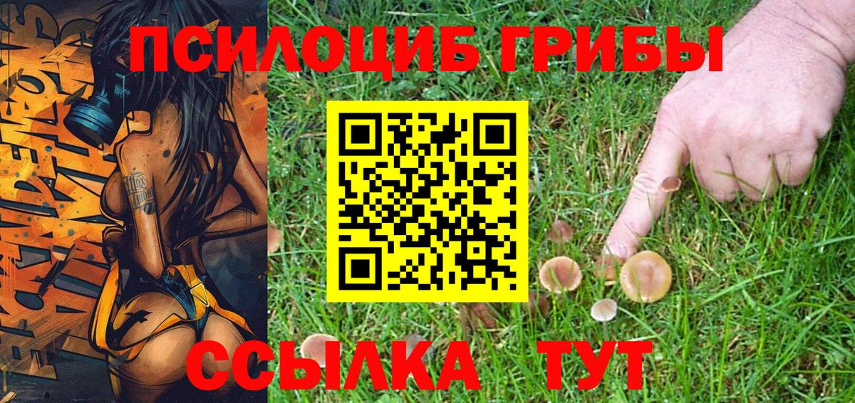 Бугуруслан  Псилоцибиновые грибы Psilocybine cubensis  Вход с VPN 