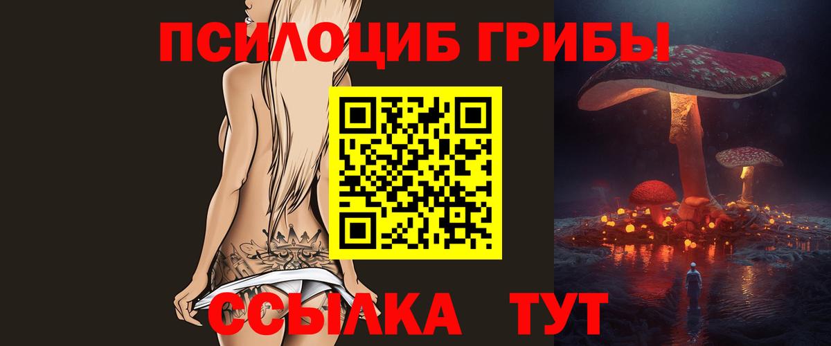 Псилоцибиновые грибы Psilocybine cubensis Бугуруслан